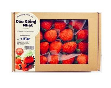25-1 Dâu Tây Giống Nhật (250g) - Ảnh 1